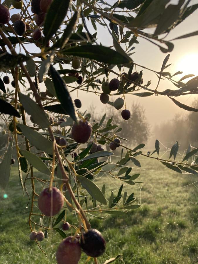 B&B Locanda Toscanini Le Piazze Dış mekan fotoğraf