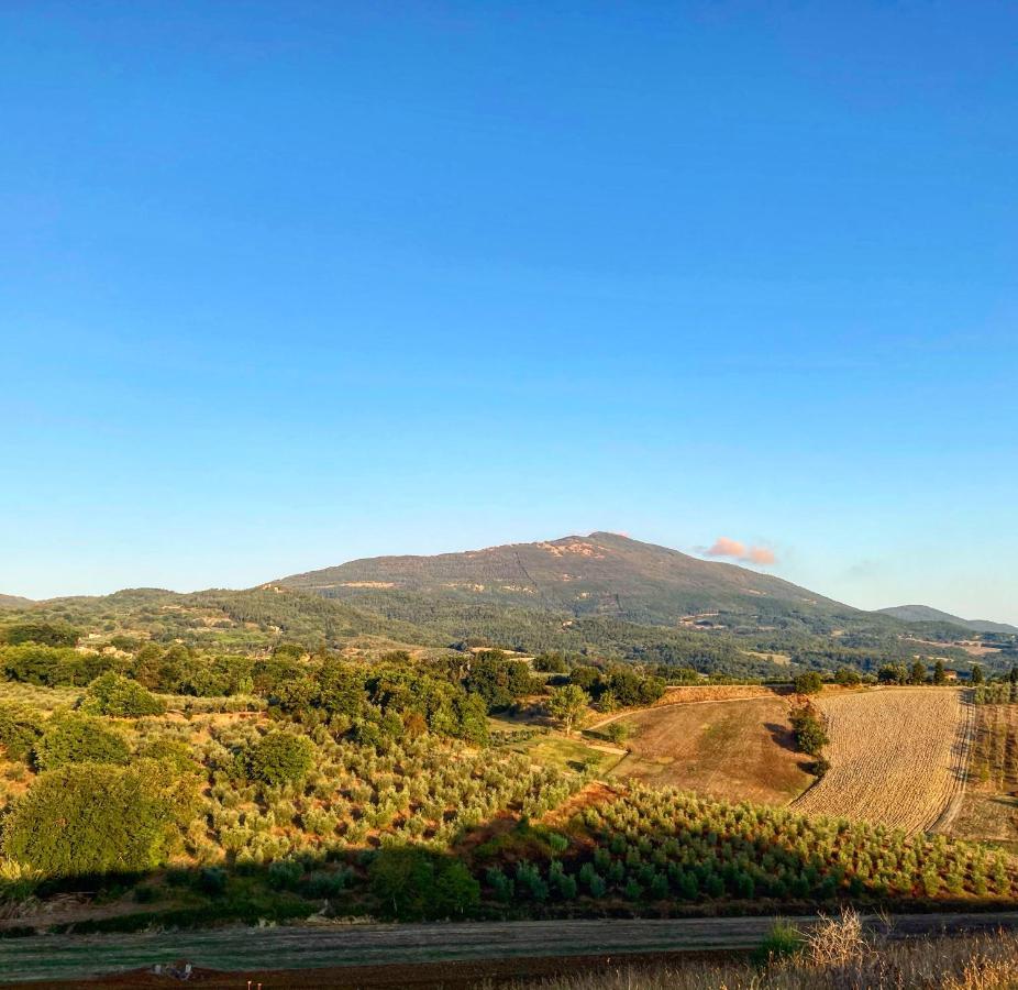 B&B Locanda Toscanini Le Piazze Dış mekan fotoğraf