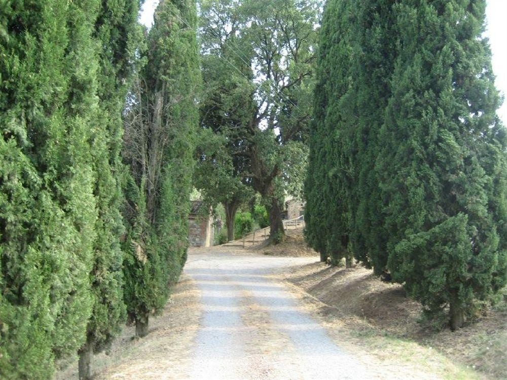 B&B Locanda Toscanini Le Piazze Dış mekan fotoğraf